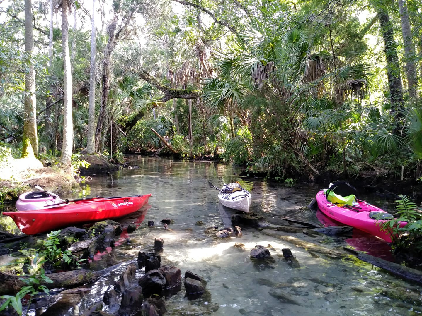 www.flkayakingtours.com