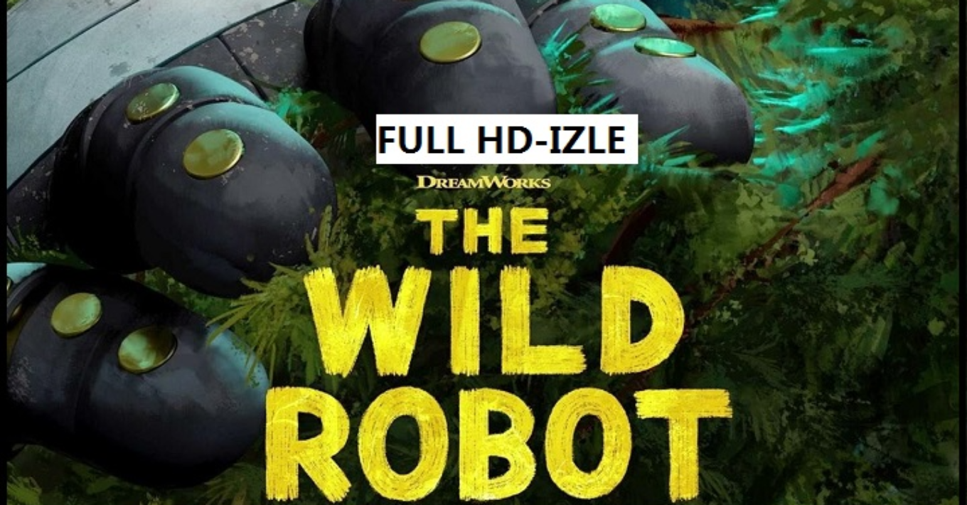 hype.co