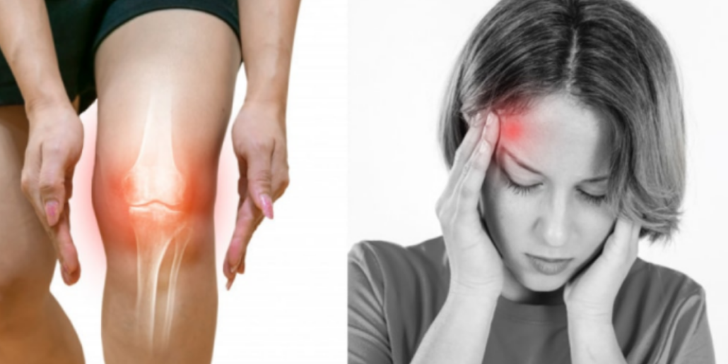 avantgardetribunenews.blogspot.com