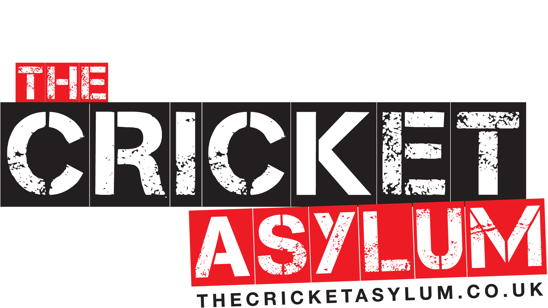 www.thecricketasylum.co.uk