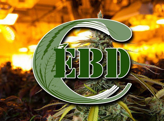 www.ebdcmed.com